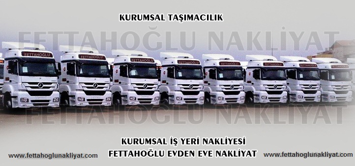 asıl resim