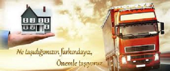 asıl resim